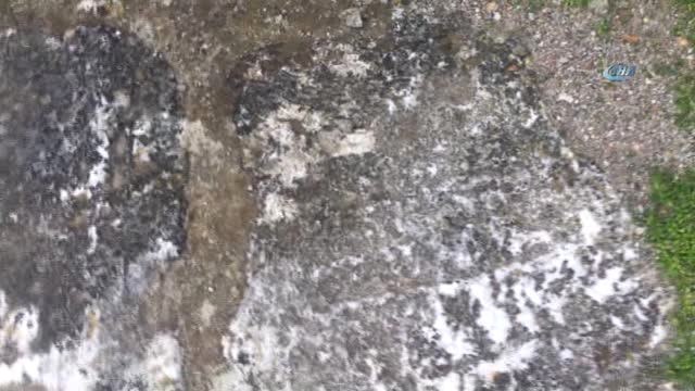 Baltacı Mehmet Paşa'nın Mezarının Türkiye'ye Getirilmesi İçin Girişim