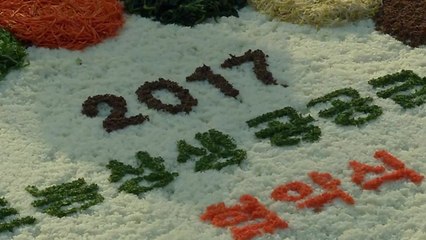 친환경 농산물 직거래 '도농상생급식' 확대 / YTN