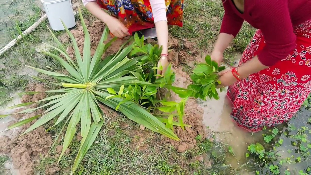 Beautiful Girl Fishing Amazing Deep Hole Fishing How to fishing with deep hole