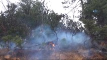 İnegöl'de Orman Yangını... 10 Dönüm Orman Sahası Kül Oldu