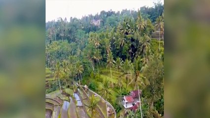 Tag un pote avec qui tu voudrais partir à Bali !