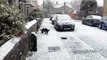 Un chien découvre la neige pour la première fois et devient fou !