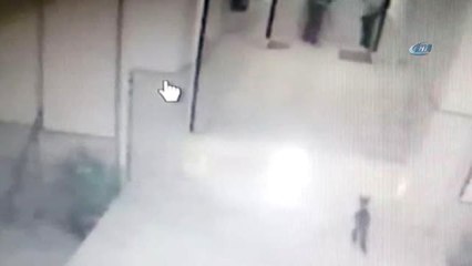 Bir Kediye Eziyet Olayı da Başkent'te