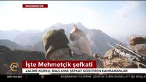 İşte Mehmetçik şefkati