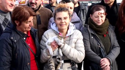 Erzincan'da Kediye Yapılan İşkence Protesto Edildi