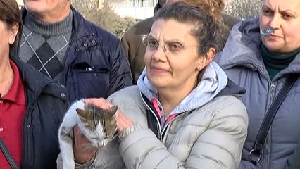 Erzincanlı Hayvan Severler Tepkilerini Dile Getirdiler