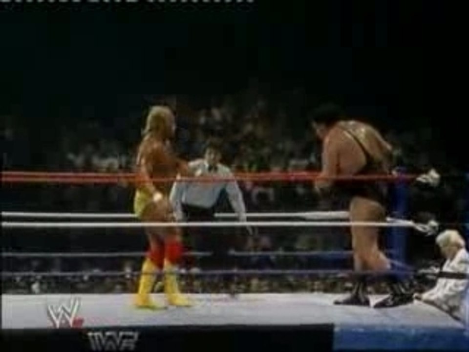 Hulk hogan story partie 8