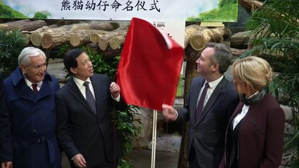 Le panda du zoo de Beauval baptisé par Brigitte Macron