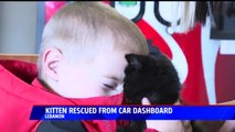 Kitten Rescued from Inside Car's Dashboard