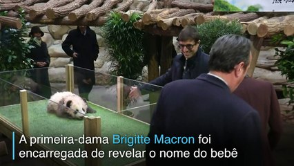 Brigitte Macron visita bebê panda