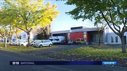 Repas végétarien : les cantines scolaires se mettent au vert