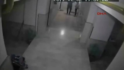 Ankara'da Kapısına Gelen Kediye Tekme Attı, Büyük Tepki Topladı