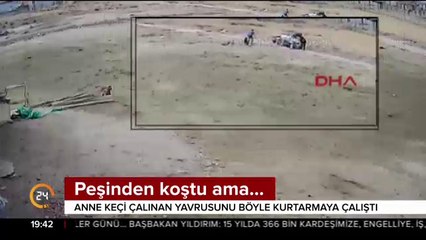 Kamera kayıtları ele verdi