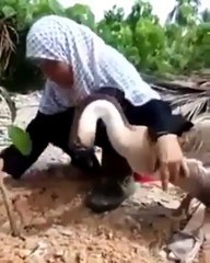 Bir hayvanın dostluğu, insanın hayvanligindan iyidir.