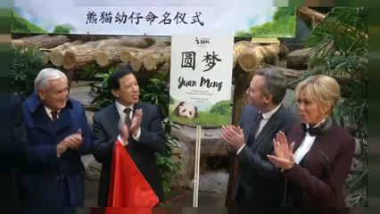 Panda : un baptême symbolique et diplomatique