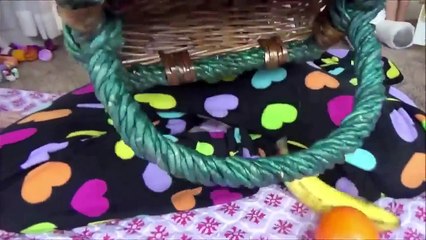 Toy Freaks - Freak Family Vlogs - Bad Baby Crying Alien Crushes Picnic Food with Lawn Mower Freak Family Annabelle Victoria