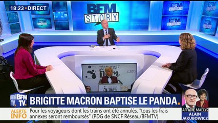 Brigitte Macron baptise le bébé panda