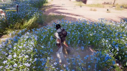 Assassin's Creed® Origins