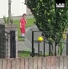 Ce gamin adorable sait qu'il n'a pas le droit d'aller sur la route...