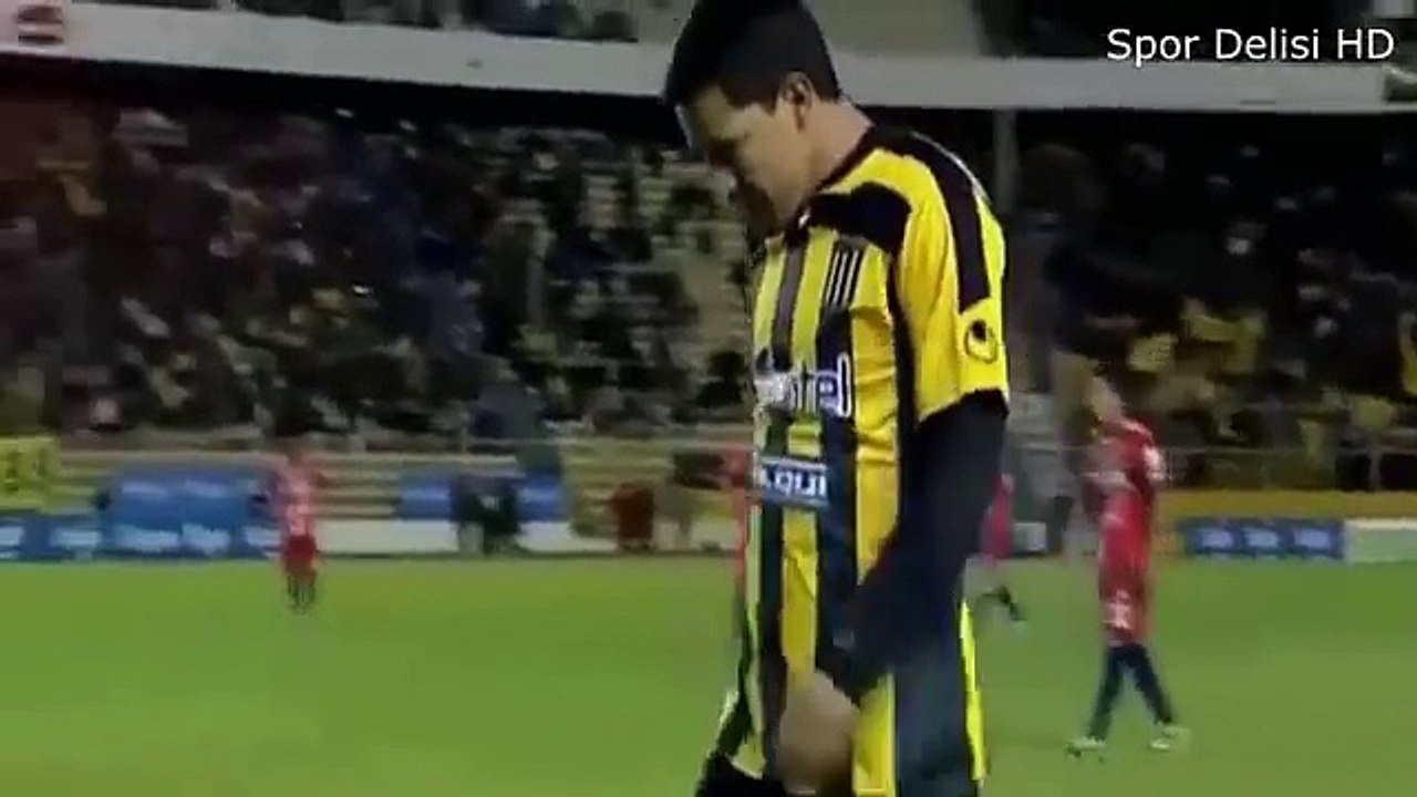 Futbol Sahasına Giren Sevimli Hayvanlar ● HD