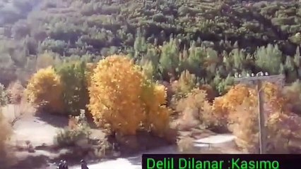 Delil Dilanar Kasımo dengbeji uzun hava