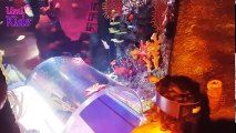 Mira ve Ege ile Sea Life Akvaryum Gezisi | Vlog | UmiKids