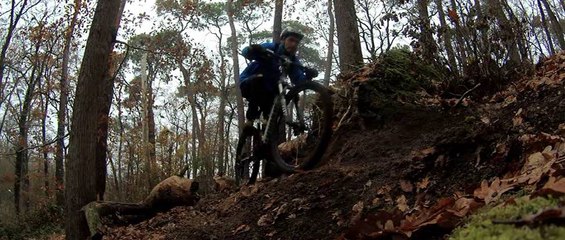 Single VTT  déc.  bois de Grandmont, Tours