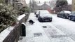 Este perro descubre la nieve por primera vez y se vuelve loco