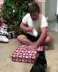 Quando recebes uma ps4 no natal mas o teu gato não aprova