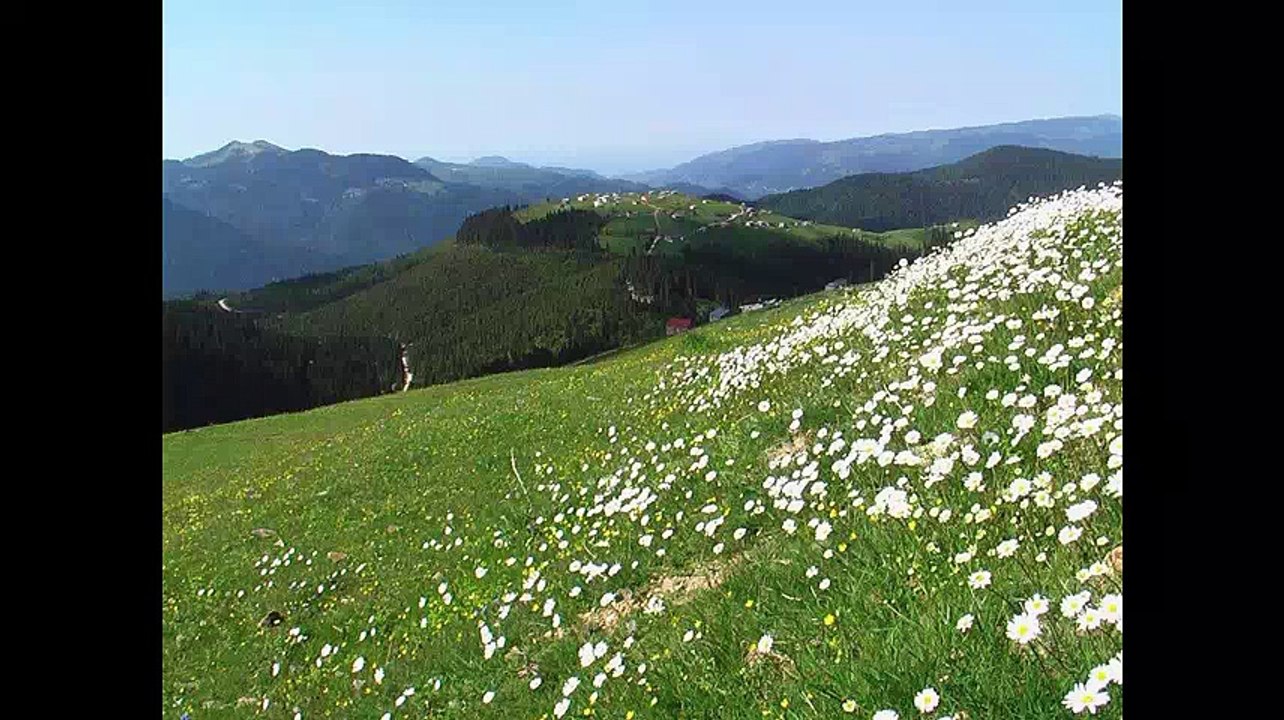 beşikdüzü gürgenli köyü