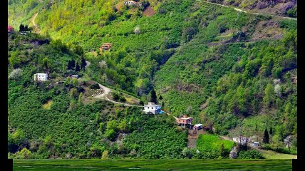 Beşikdüzü Kalegüney Köyü