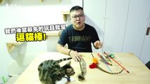 Which cat wand is the most popular Battleground of the Cat Wands-LVVCGsJ4mvk