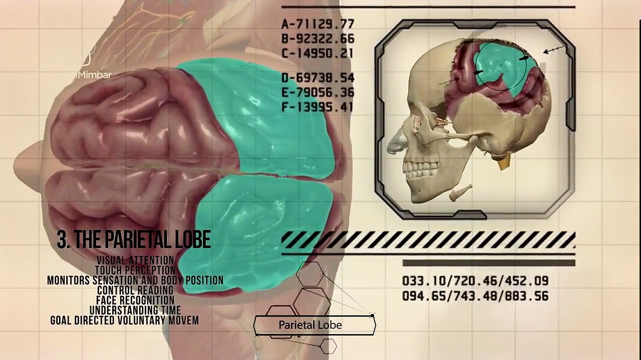 Scientific Facts in The Quran - Must See!