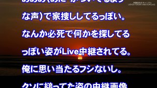 【スカッとする話 離婚】汚嫁の浮気、俺『DNA鑑定or慰謝料２倍どっちがいい？』汚嫁両親、間男ともども底辺に落としてやったｗｗｗ