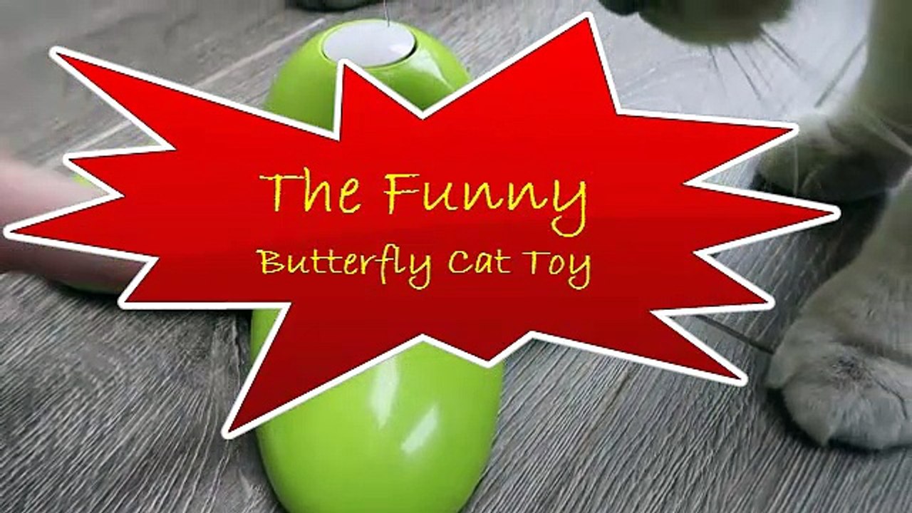 Electric Rotating Funny Butterfly Cat Toy