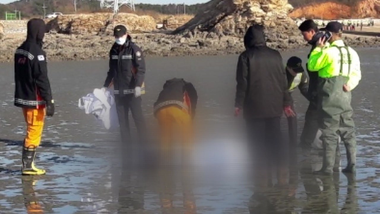 실종자 시신 모두 발견...급유선 선장 구속영장 청구 / YTN