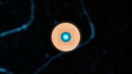 Render - Comp - converted with Clipchamp