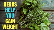 HERBS THAT CAN HELP YOU GAIN WEIGHT | Miraculous Herbs For Fast Weight | Health Benefits in English