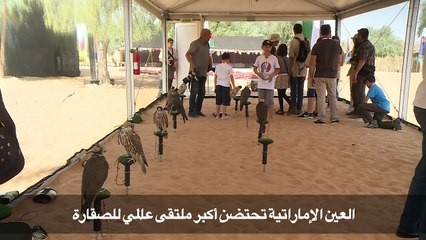 العين الإماراتية تحتضن أكبر ملتقى عالمي للصقارة
