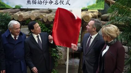 Brigitte Macron baptiste le Panda du Zoo de Beauval