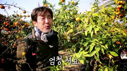 한국기행 - Korea travel_취해볼까 가을 제주 1부 자네 왔는가_#001