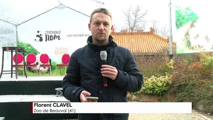 A LA UNE/ Beauval: le bébé panda baptisé par Brigitte Macron
