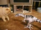 Cat vs Dinosaur - Funny Animals - Gato vs Dinosaurio - Animales Graciosos