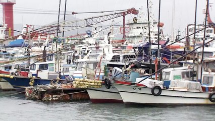 낚싯배 가장 많은 충남도 "안전 설비 전수 조사" / YTN