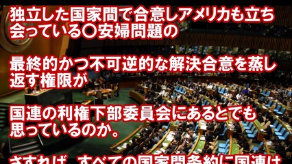 国連委員会が「日韓合意」見直しを勧告、韓国ネット沸き立つ＝「新政権になって早々の朗報」「大義名分ができた！」【トラちゃんねる】
