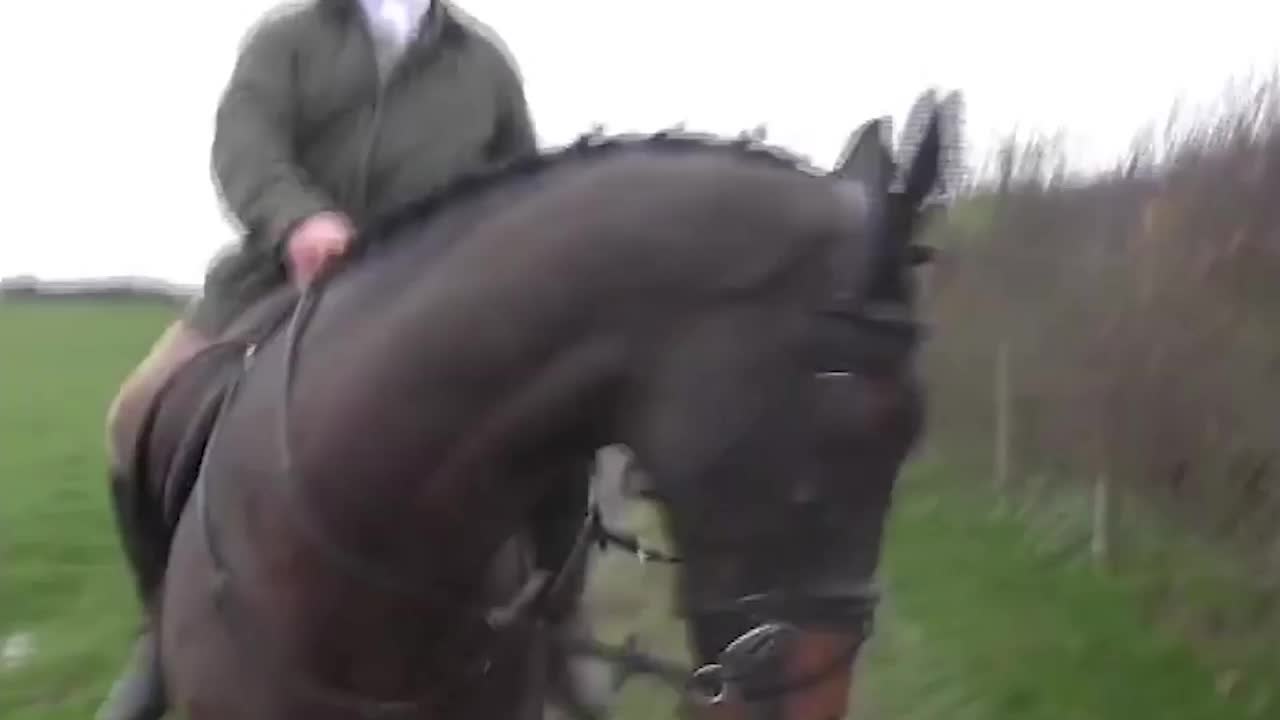 Hunt Saboteurs Face Off With Screaming Landowner