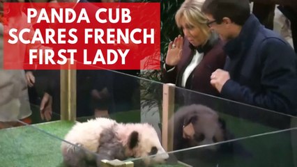 France's first baby panda growls as 'godmother' Brigitte Macron names her