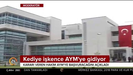Kediye işkence AYM'ye gidiyor