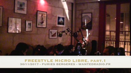 Freestyle Micro Libre aux Fueries Bergères, part.1