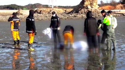 실종자 2명, 시신 모두 발견...수색 마무리 / YTN